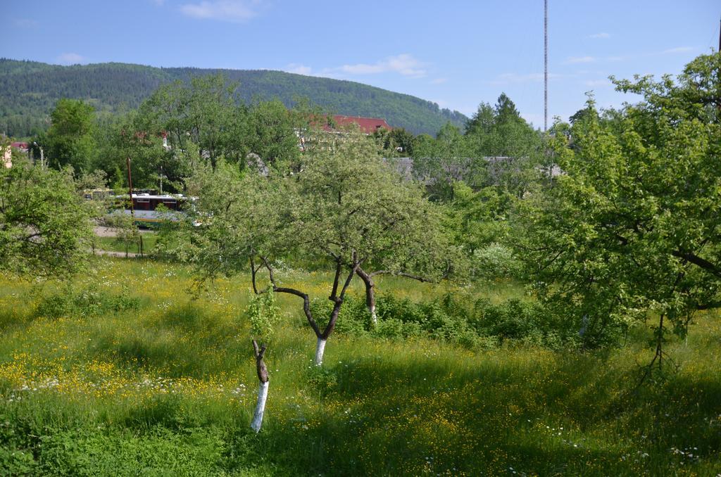 Rosinka Apartamento Yaremche Exterior foto